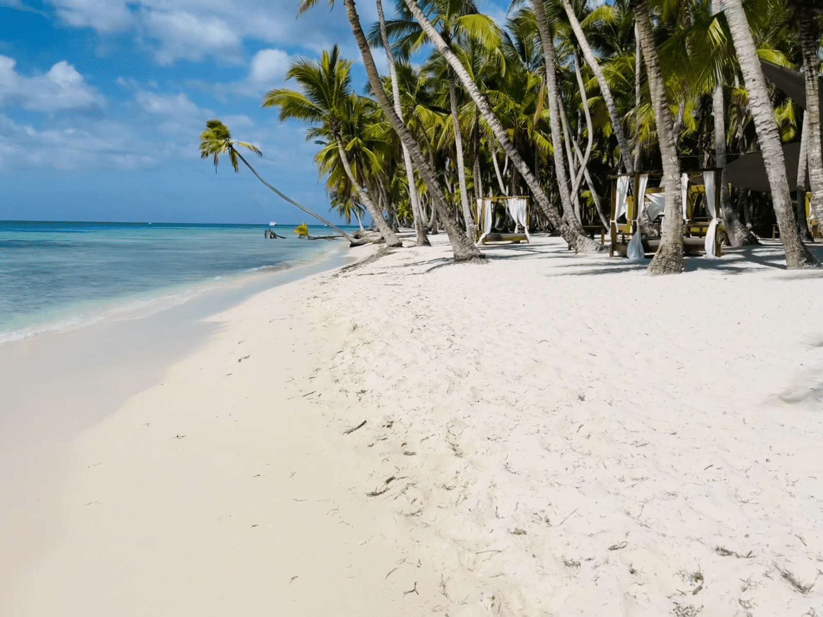 Saona Island - Image 5